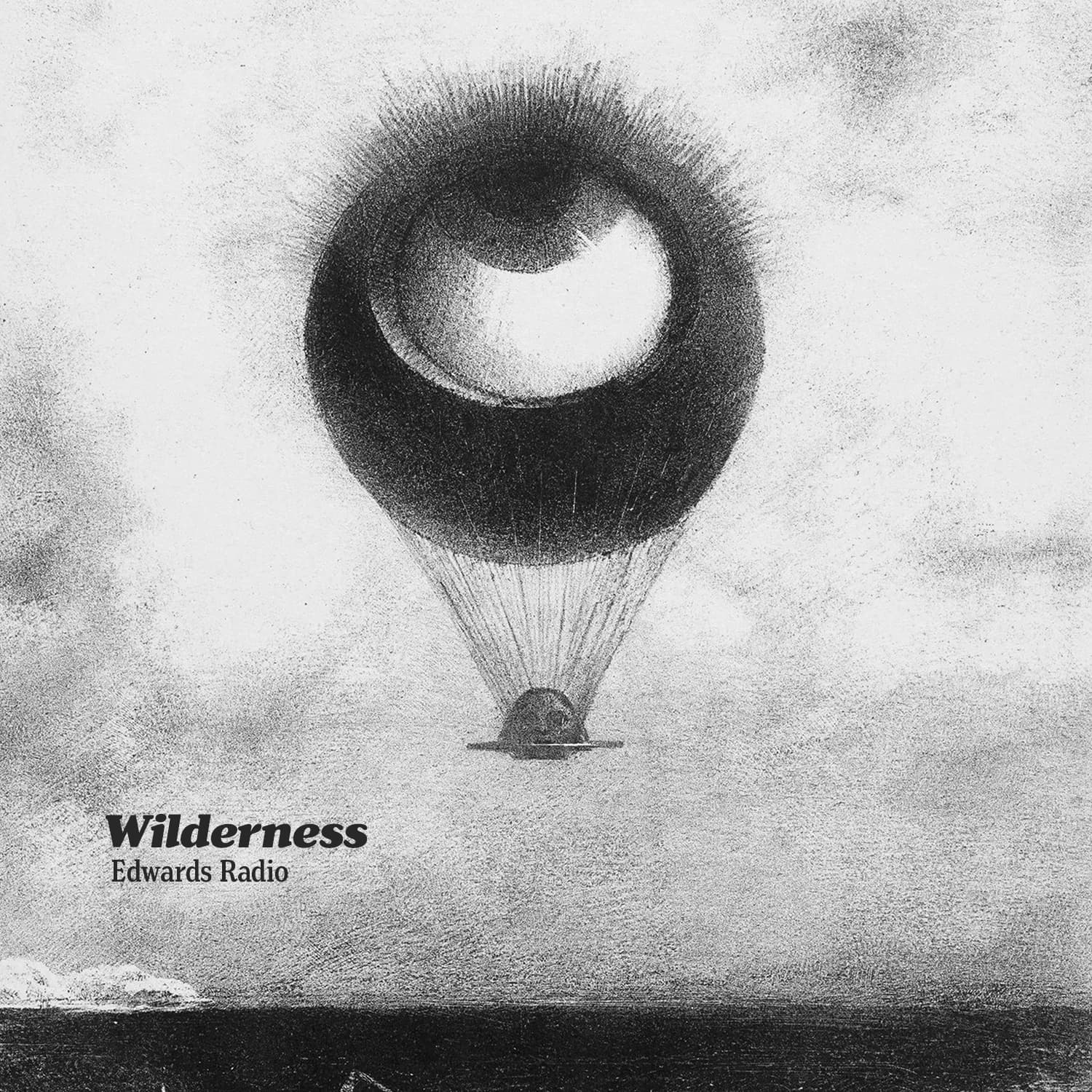 Wilderness album cover