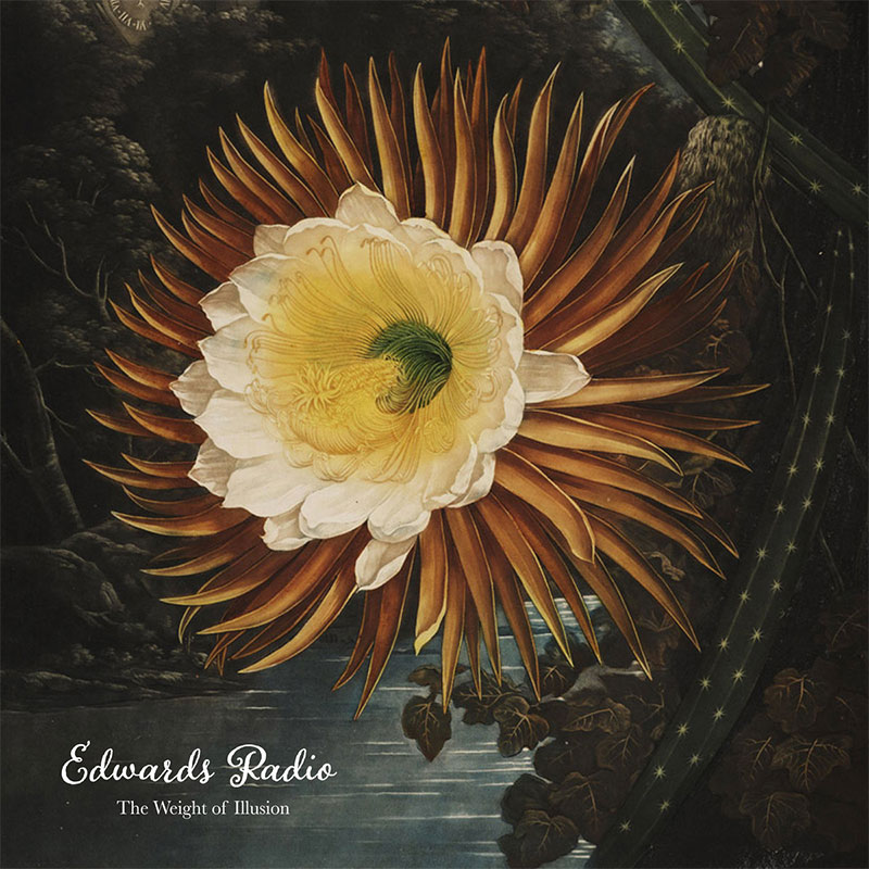 The Weight of Illusion album cover